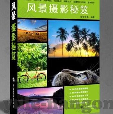 球琛足球即使比分-球琛足球，解锁即时比分背后的足球魅力密码